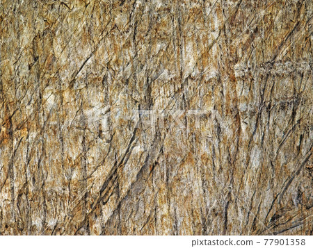 wood texture wood texture 77901358