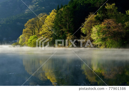 Murou Lake fog Murou Lake fog 77901386