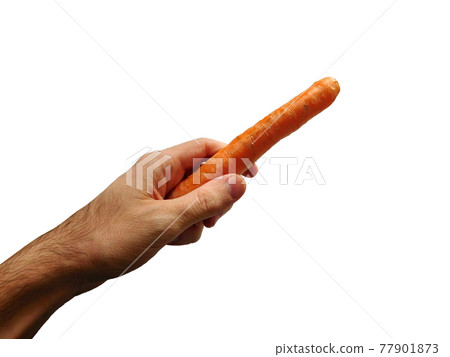 carrots carrots 77901873
