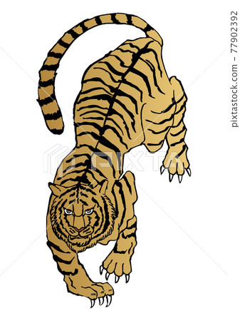 Illustration of a Japanese pattern tiger. Zodiac clip art. Illustration of a Japanese pattern tiger. Zodiac clip art. 77902392