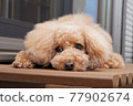 Relax on the porch 77902674