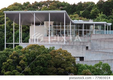 Forests and buildings 77903014
