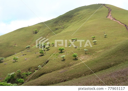 鈴鹿七山（Ryugatake） 77903117