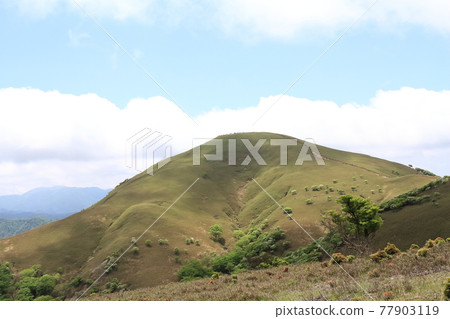 鈴鹿七山（Ryugatake） 77903119