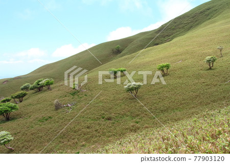 鈴鹿七山(Ryugatake) 鈴鹿七山(Ryugatake) 77903120
