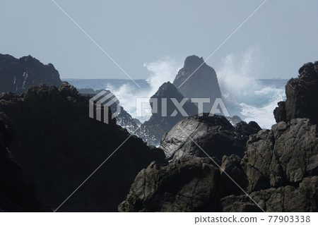 High wave of Muroto Cape 77903338