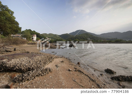 water wetland the Nam Wai, sai kung 13 May 2006 77904186