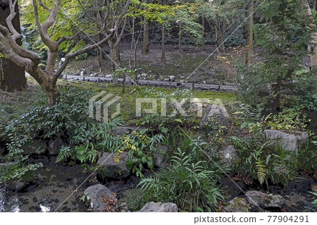 東山動物園和植物園 77904291