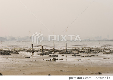 a sunset sea, scenes from hong kong to shenzhen coast at Pak Na a sunset sea, scenes from hong kong to shenzhen coast at Pak Na 77905513