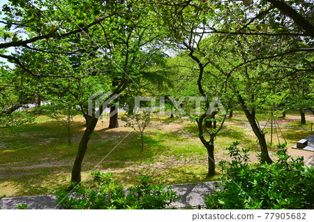 小丸山城跡公園 本丸七尾市 77905682