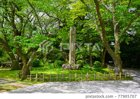 小丸山城遺址 小丸山公園 七尾市 77905707