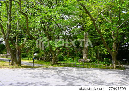 Komaruyama Castle Ruins Park Honmaru Nanao City 77905709