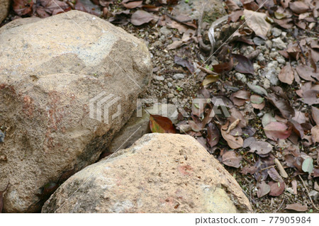 the nature texture of the earth cobblestones, stones 25 March 2005 77905984