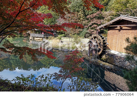 東山動物園和植物園 插圖素材 圖庫