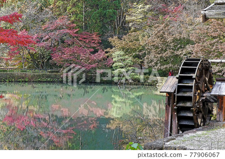 Higashiyama Zoo and Botanical Garden Higashiyama Zoo and Botanical Garden 77906067