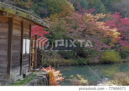 Higashiyama Zoo and Botanical Garden 77906071