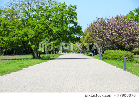 Mie Prefecture Saiku Historical Square / Kamien Lawn Square (Spring April 2021) To the ancient Ise Expressway Mie Prefecture Saiku Historical Square / Kamien Lawn Square (Spring April 2021) To the ancient Ise Expressway 77906076