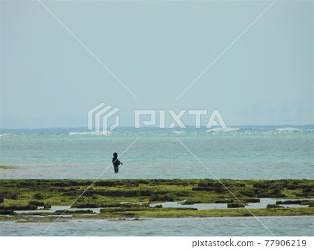 Okinawa Sea 2021 77906219