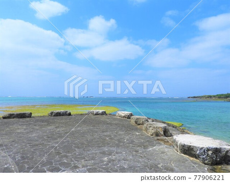 Okinawa Sea 2021 77906221