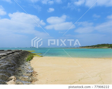 沖繩海2021 沖繩海2021 77906222