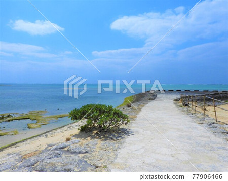 沖繩海2021 沖繩海2021 77906466