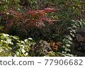 Higashiyama Zoo and Botanical Garden 77906682
