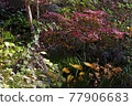 Higashiyama Zoo and Botanical Garden 77906683