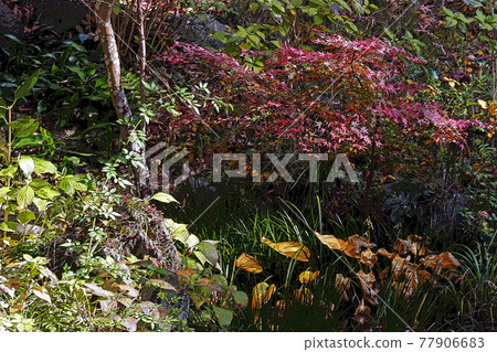 Higashiyama Zoo and Botanical Garden Higashiyama Zoo and Botanical Garden 77906683