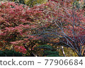 Higashiyama Zoo and Botanical Garden 77906684