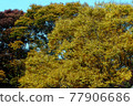 Higashiyama Zoo and Botanical Garden 77906686