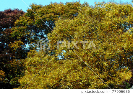 Higashiyama Zoo and Botanical Garden 77906686