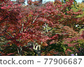 Higashiyama Zoo and Botanical Garden 77906687