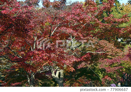 Higashiyama Zoo and Botanical Garden 77906687