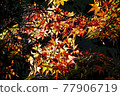 Higashiyama Zoo and Botanical Garden 77906719