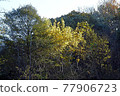 Higashiyama Zoo and Botanical Garden 77906723