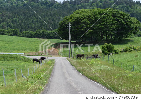 Gassan Kogen Farm 77906739