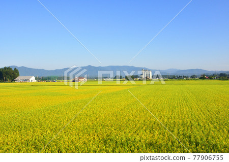 Scenery from the train window of JR East's Tazawako Line and surrounding area (Summer 2020) 77906755