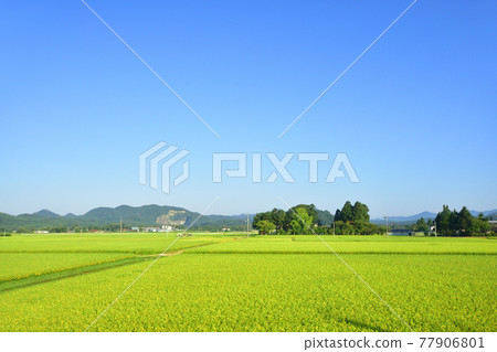 In the summer of 2020, the scenery from the train window of the Tazawako Line and the surrounding scenery 77906801