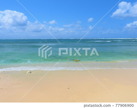 沖繩海2021 77906900