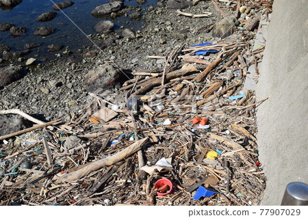 沿海殘骸 環境問題 垃圾問題 77907029
