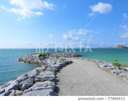 Okinawa Sea 2021 Okinawa Sea 2021 77909411