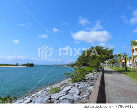Okinawa Sea 2021 Okinawa Sea 2021 77909412