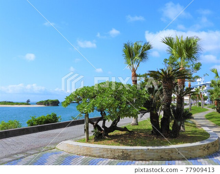 Okinawa Sea 2021 Okinawa Sea 2021 77909413