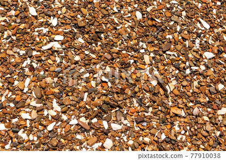 Background of brown sea pebbles with parts of white seashells Background of brown sea pebbles with parts of white seashells 77910038
