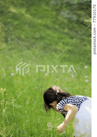 收集蒲公英的小學生（6歲） 77910178