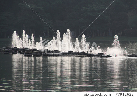巴西聖保羅伊比拉普埃拉公園的噴泉 巴西聖保羅伊比拉普埃拉公園的噴泉 77912622