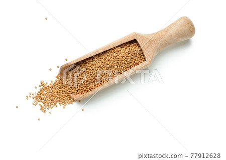 Wooden scoop with mustard seeds isolated on white background Wooden scoop with mustard seeds isolated on white background 77912628