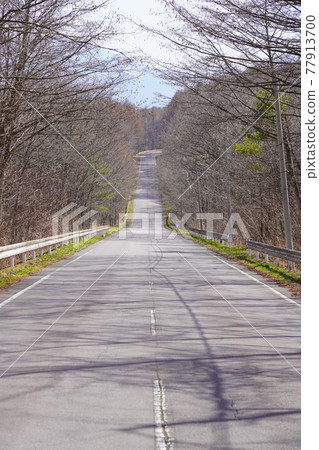 群馬縣Tsumagoi全景線/在森林中運行的北線 群馬縣Tsumagoi全景線/在森林中運行的北線 77913700