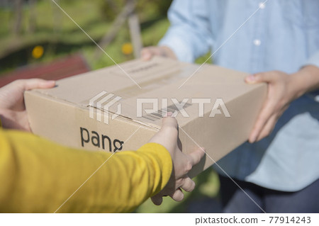 77914243