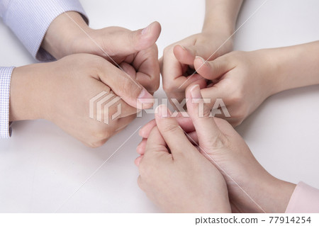 77914254